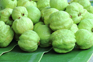 Guava kimju is sweet, crisp and delicious, and is eaten by most consumers who sell it as street food in Thailand.