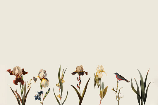 Illustration botanique vintage avec une rang&eacute;e de fleurs d&eacute;licates iris et gla&iuml;eul et un oiseau sur fond beige espace n&eacute;gatif copyspace