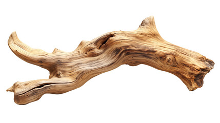 Dried dead tree trunk. Weathered driftwood cut out