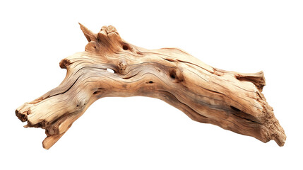Naklejka premium Dried dead tree trunk. Weathered driftwood cut out