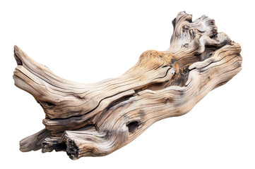 Dried dead tree trunk. Weathered driftwood cut out