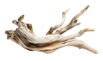 Naklejka premium driftwood log weathered dried dead tree branch. cut out