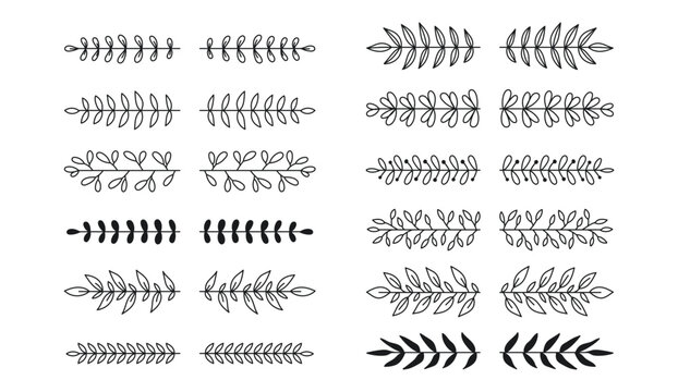 Set of doodles with laurel and floral text dividers. Branches, ornamental divider, borders, lines. Hand drawn vector illustration on white background