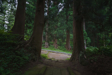 青森 津軽国一宮 岩木山神社 木陰の参道
