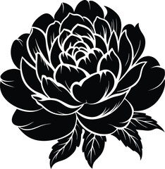 Fototapeta premium peony flowers drawings. abstract flower illustration. hand drawn vector art.