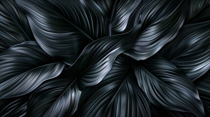 Abstract black leaves texture for tropical leaf background.