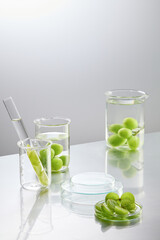 Laboratory scene with green grape ingredient displayed in experiment tools, over white background. Photo of front view with blank showcase podium for product displaying, copy space for text