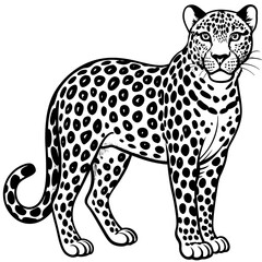 leopard cartoon isolated on white