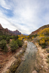 A river winds through Zion National Park in Utah, offering a mesmerizing view of rugged terrain, colorful autumn trees, and a partly cloudy sky, enchanting visitors with its beauty