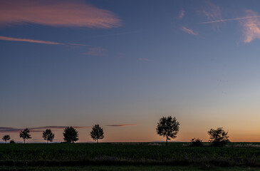 Obraz premium stimmungsvoller Sonnenuntergang