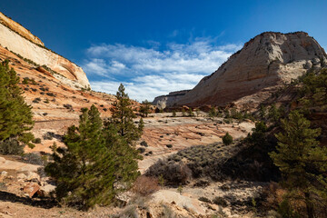 Discover the captivating allure of Bryce Canyon National Park in Utah, featuring its remarkable rock formations, diverse plant life, and sunny skies glowing in the southwestern warmth