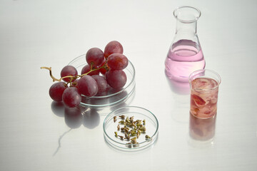 From above view photo at a white lab table, which displaying on top a petri dish contains purple grape, an erlenmeyer filled by purple liquid, grape seed dish and a glass beaker of grape and fluid