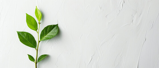 Success concept on white background motivation.