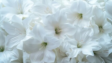 Flowers that are white
