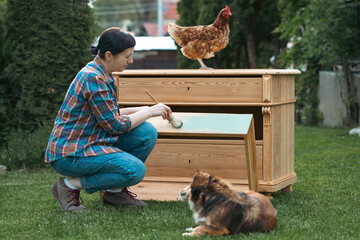 Woman painting a wooden furniture with her pets on the farm. DIY, working together concept.