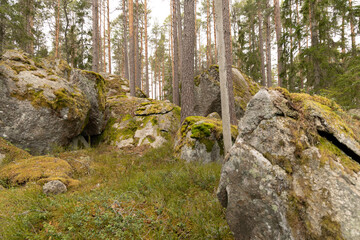 Huge stone boulders in the Swedish forest with moss and lichen. Natural springtime scenery of Scandinavian woodlands.