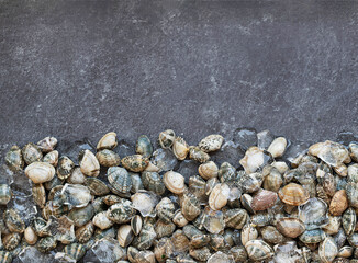 Fresh clams, shellfish, vongole. Food background, top view, place for text