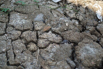 Cracked dry ground portrait, cracked dry ground texture background.wallpaper concept