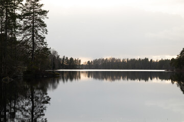A beautiful evening scenery of the forest lake in Sweden. Springtime landscape of Scandinavia.