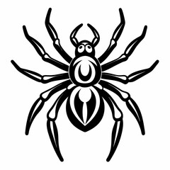 Obraz premium spider on a white background