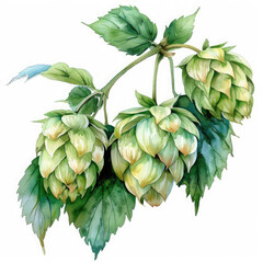 A watercolor painting of green hop cones and leaves on a vine, showcasing their intricate details and natural beauty.