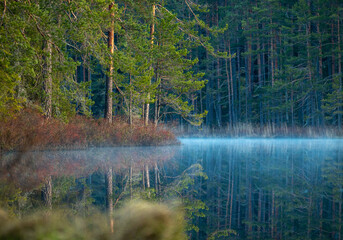A beautiful misty morning sunrise at the lake in Tividen National Park, Sweden. Natural forest...