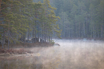 A beautiful misty morning sunrise at the lake in Tividen National Park, Sweden. Natural forest...