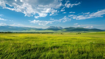 Obraz premium Landscape with vast meadows and distant mountains picture