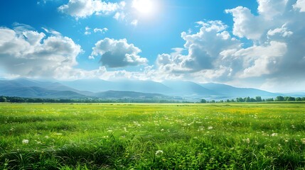 Landscape with vast meadows and distant mountains