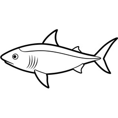 Obraz premium fish isolated on white