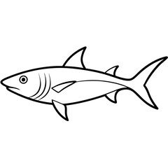 Fototapeta premium fish isolated on white background