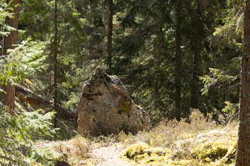 Beautiful huge boulders in the Tividen National Park in Sweden. Natural springtime scenery of forest in Scandinavia.