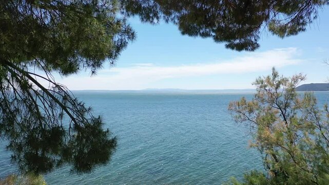 Video from a drone flying smoothly through the branches of pine trees to the open sea on a sunny summer day, the coast of Istres, Provence, France