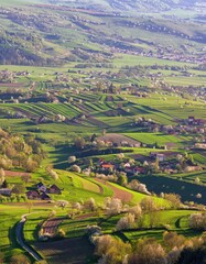 Spring landscape in Slovakia, in the region of Polana in Hrinová. Fields and meadows with blooming cherries. © Ivan