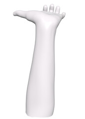 White mannequin hand, isolated female hand. White hand sculpture gesture isolated illustration, 3d rendering concept. Detailed 3D Illustration.