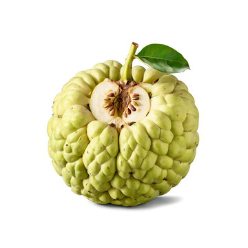 Custard apple round with a lumpy green exterior sliced to reveal its creamy white flesh