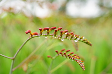 It feels like Autumn is coming. I love Autumn.