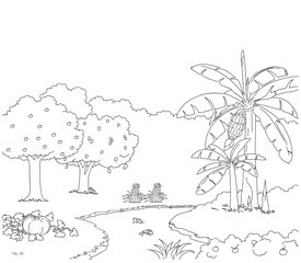 fruit forest background cartoon coloring book