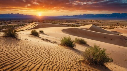 Fototapeta premium sunset in the desert