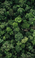 Naklejka premium Explore the beauty of forest conservation through protected areas teeming with diverse wildlife This illustration captures the harmony between nature and preservation efforts