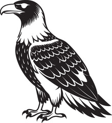 eagle vector illustration