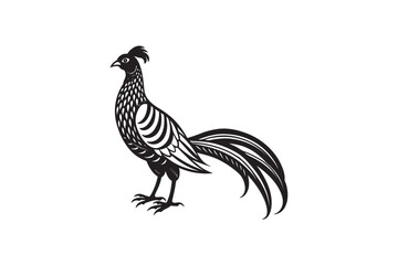 rooster isolated on white