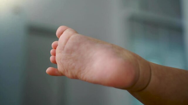 Close up of cute baby feet of little baby on chair at home and practicing movement, copy space.