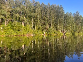 beautiful lake on the shore forest with reflection in water blue sky in reflection of water.