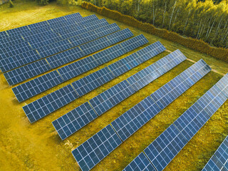 Eco-friendly solar panels absorbing sunlight