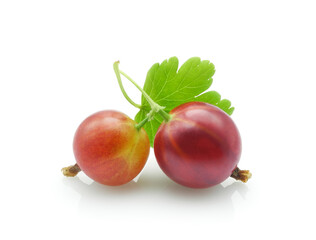Ripe red gooseberry with leaf isolated on white background