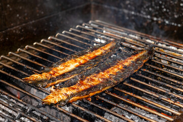 鰻　蒲焼き　土用　丑の日　Grilled eel for the summer
