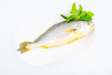 A fresh yellow croaker