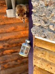 Details and Souvenirs in an Old House