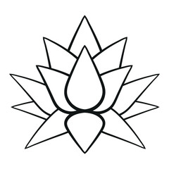 Lotus Flower
